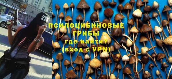 прущий лед Лагань