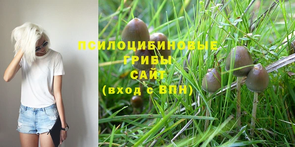 таблы Магадан