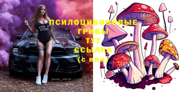 Альфа ПВП Медвежьегорск