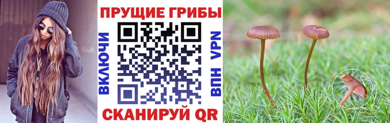 гидра tor  Сысерть  Галлюциногенные грибы MAGIC MUSHROOMS 